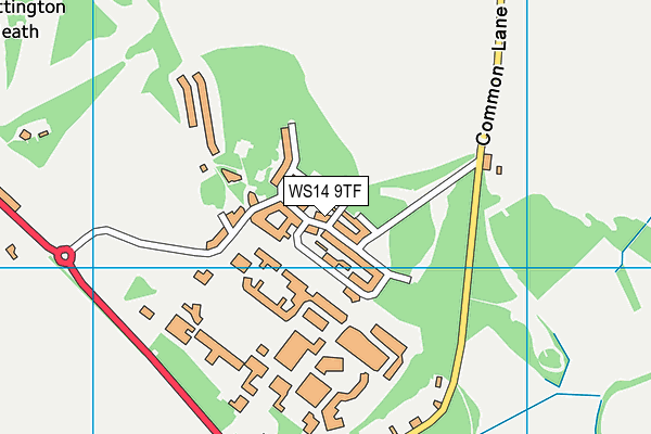 WS14 9TF map - OS VectorMap District (Ordnance Survey) WS14 9TF map - OS VectorMap District (Ordnance Survey)