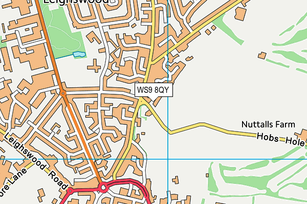 WS9 8QY map - OS VectorMap District (Ordnance Survey) WS9 8QY map - OS VectorMap District (Ordnance Survey)
