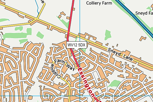 WV12 5DX map - OS VectorMap District (Ordnance Survey) WV12 5DX map - OS VectorMap District (Ordnance Survey)