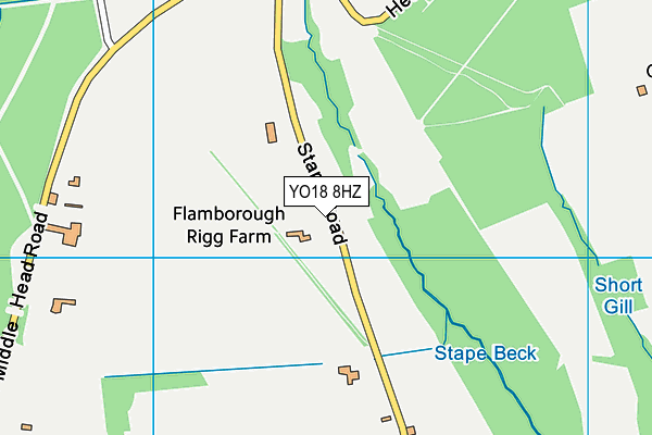 YO18 8HZ map - OS VectorMap District (Ordnance Survey) YO18 8HZ map - OS VectorMap District (Ordnance Survey)