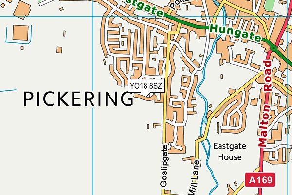 YO18 8SZ map - OS VectorMap District (Ordnance Survey) YO18 8SZ map - OS VectorMap District (Ordnance Survey)
