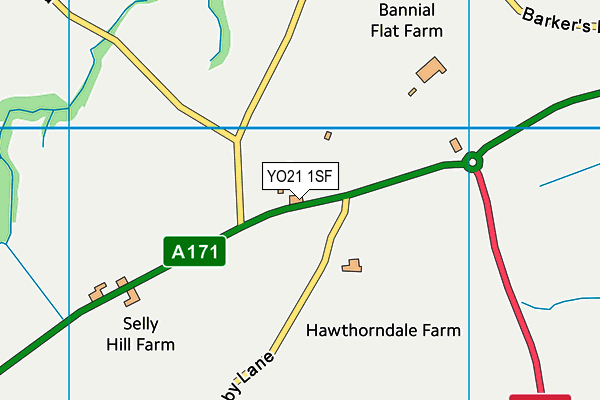 YO21 1SF map - OS VectorMap District (Ordnance Survey) YO21 1SF map - OS VectorMap District (Ordnance Survey)