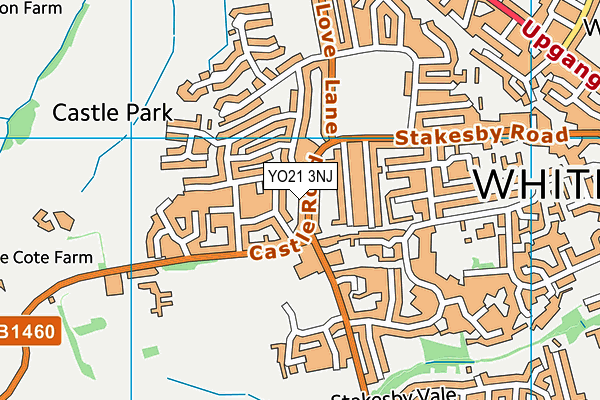 YO21 3NJ map - OS VectorMap District (Ordnance Survey) YO21 3NJ map - OS VectorMap District (Ordnance Survey)