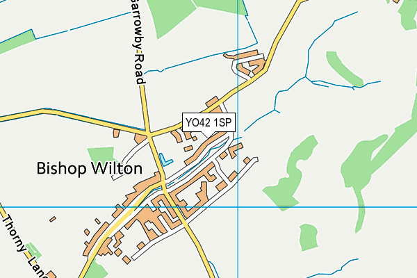YO42 1SP map - OS VectorMap District (Ordnance Survey)