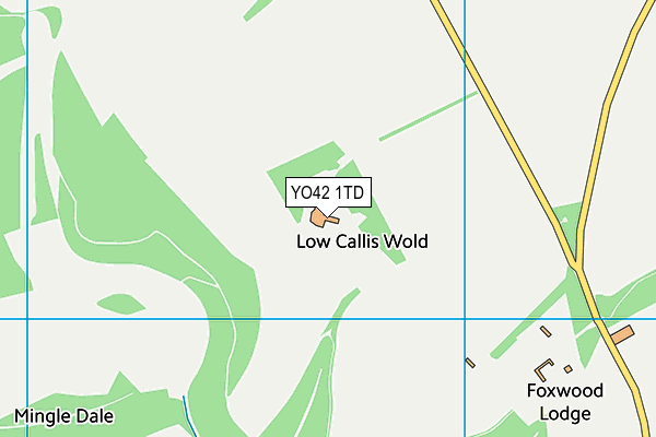 YO42 1TD map - OS VectorMap District (Ordnance Survey)