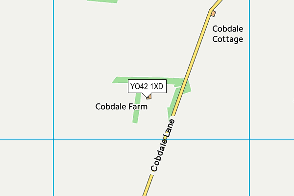 YO42 1XD map - OS VectorMap District (Ordnance Survey)