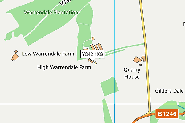 YO42 1XG map - OS VectorMap District (Ordnance Survey)