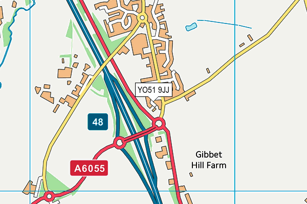 YO51 9JJ map - OS VectorMap District (Ordnance Survey)