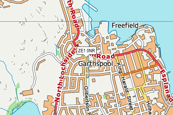 ZE1 0NR map - OS VectorMap District (Ordnance Survey)