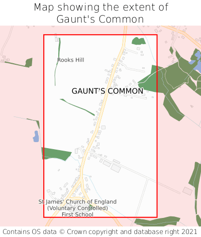 Map showing extent of Gaunt's Common as bounding box