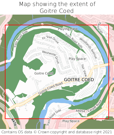 Map showing extent of Goitre Coed as bounding box