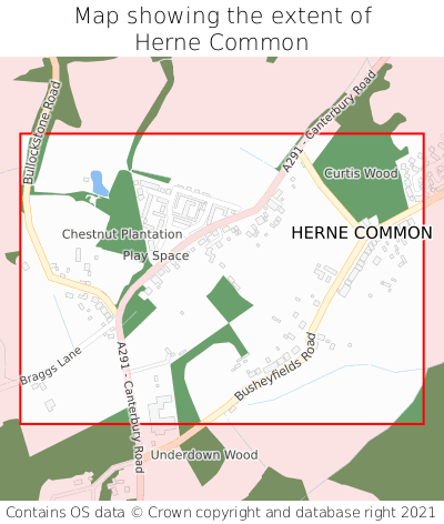 Map showing extent of Herne Common as bounding box