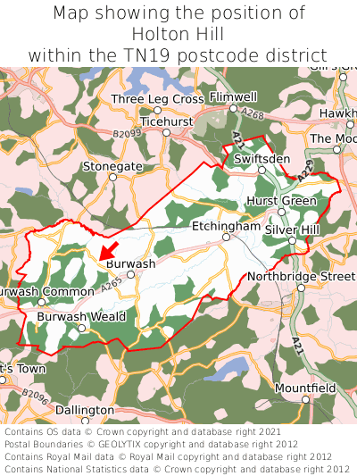 Map showing location of Holton Hill within TN19