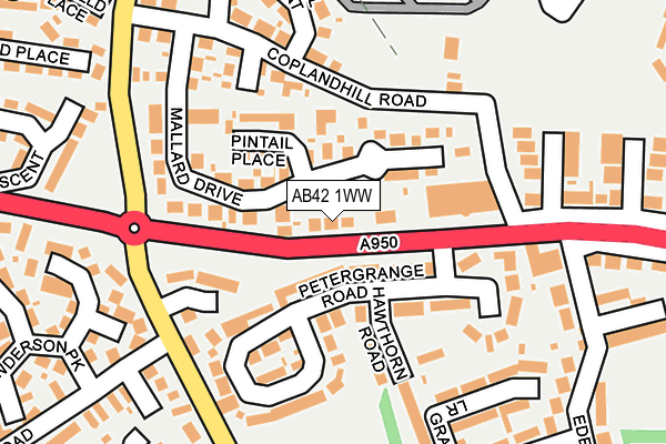 AB42 1WW map - OS OpenMap – Local (Ordnance Survey) AB42 1WW map - OS OpenMap – Local (Ordnance Survey)