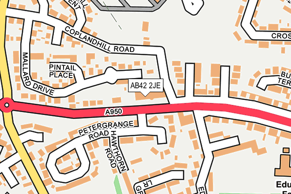 AB42 2JE map - OS OpenMap – Local (Ordnance Survey) AB42 2JE map - OS OpenMap – Local (Ordnance Survey)