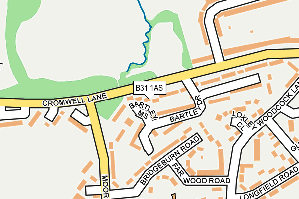 B31 1AS map - OS OpenMap – Local (Ordnance Survey) B31 1AS map - OS OpenMap – Local (Ordnance Survey)