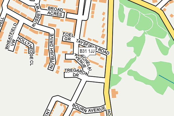 B31 1JJ map - OS OpenMap – Local (Ordnance Survey) B31 1JJ map - OS OpenMap – Local (Ordnance Survey)