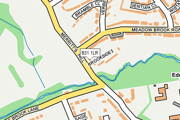 B31 1LR map - OS OpenMap – Local (Ordnance Survey) B31 1LR map - OS OpenMap – Local (Ordnance Survey)