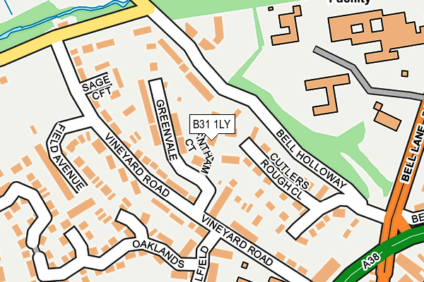 B31 1LY map - OS OpenMap – Local (Ordnance Survey) B31 1LY map - OS OpenMap – Local (Ordnance Survey)
