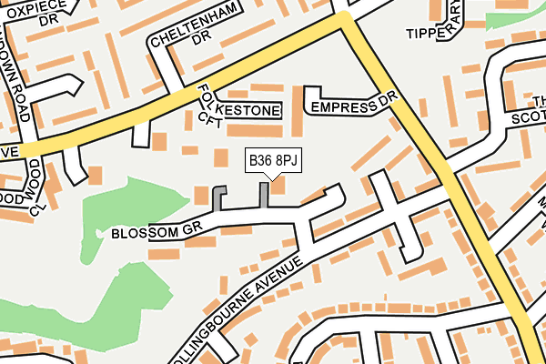 B36 8PJ map - OS OpenMap – Local (Ordnance Survey) B36 8PJ map - OS OpenMap – Local (Ordnance Survey)