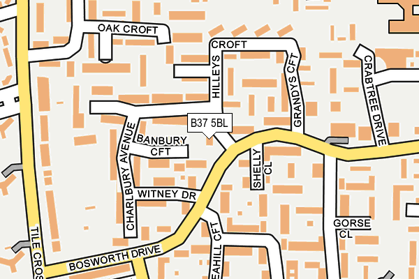 B37 5BL map - OS OpenMap – Local (Ordnance Survey) B37 5BL map - OS OpenMap – Local (Ordnance Survey)