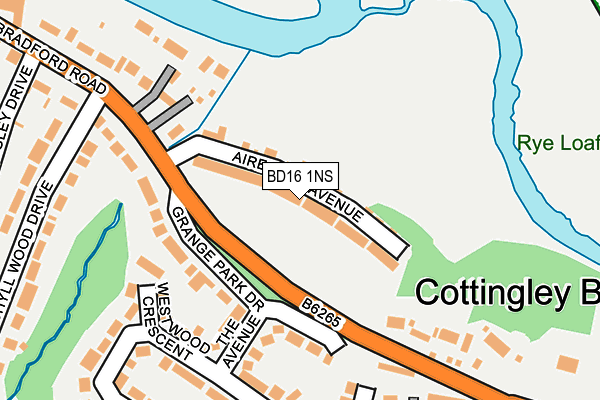BD16 1NS map - OS OpenMap – Local (Ordnance Survey) BD16 1NS map - OS OpenMap – Local (Ordnance Survey)