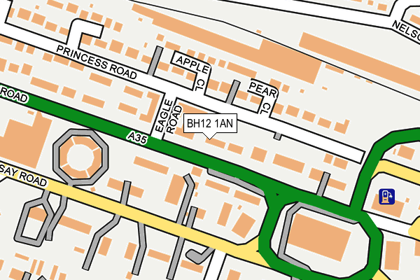 BH12 1AN map - OS OpenMap – Local (Ordnance Survey) BH12 1AN map - OS OpenMap – Local (Ordnance Survey)
