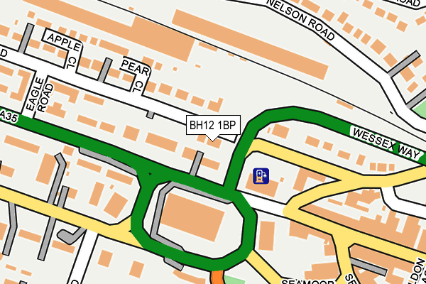 BH12 1BP map - OS OpenMap – Local (Ordnance Survey) BH12 1BP map - OS OpenMap – Local (Ordnance Survey)