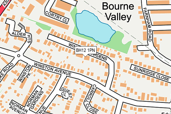 BH12 1PN map - OS OpenMap – Local (Ordnance Survey) BH12 1PN map - OS OpenMap – Local (Ordnance Survey)