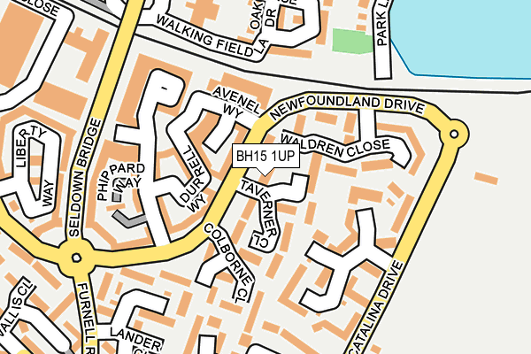 BH15 1UP map - OS OpenMap – Local (Ordnance Survey) BH15 1UP map - OS OpenMap – Local (Ordnance Survey)