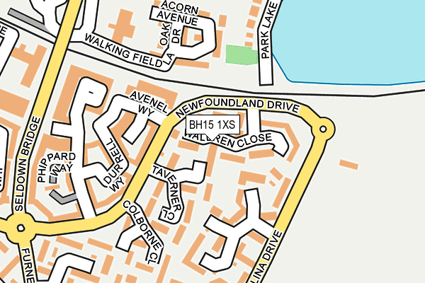 BH15 1XS map - OS OpenMap – Local (Ordnance Survey) BH15 1XS map - OS OpenMap – Local (Ordnance Survey)