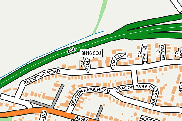 BH16 5QJ map - OS OpenMap – Local (Ordnance Survey) BH16 5QJ map - OS OpenMap – Local (Ordnance Survey)