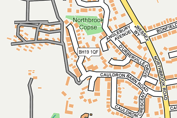 BH19 1QF map - OS OpenMap – Local (Ordnance Survey) BH19 1QF map - OS OpenMap – Local (Ordnance Survey)