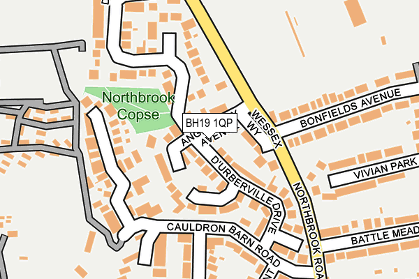 BH19 1QP map - OS OpenMap – Local (Ordnance Survey)