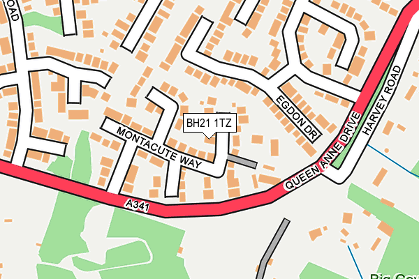 BH21 1TZ map - OS OpenMap – Local (Ordnance Survey) BH21 1TZ map - OS OpenMap – Local (Ordnance Survey)