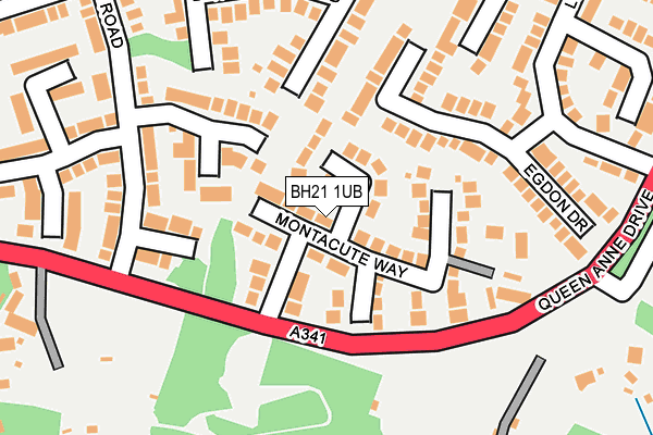 BH21 1UB map - OS OpenMap – Local (Ordnance Survey) BH21 1UB map - OS OpenMap – Local (Ordnance Survey)