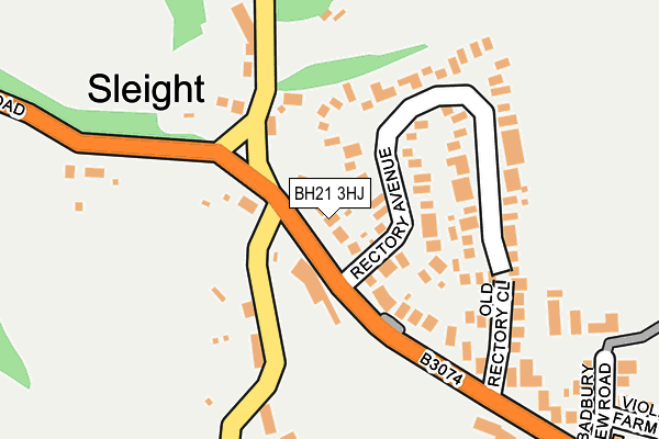 BH21 3HJ map - OS OpenMap – Local (Ordnance Survey) BH21 3HJ map - OS OpenMap – Local (Ordnance Survey)