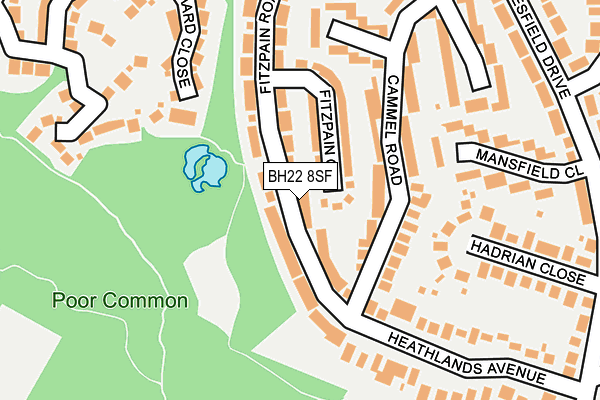 BH22 8SF map - OS OpenMap – Local (Ordnance Survey) BH22 8SF map - OS OpenMap – Local (Ordnance Survey)