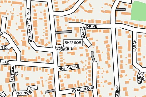 BH22 9QR map - OS OpenMap – Local (Ordnance Survey) BH22 9QR map - OS OpenMap – Local (Ordnance Survey)
