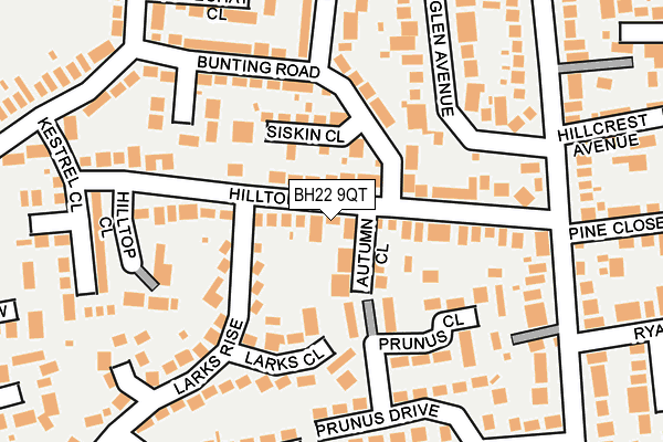 BH22 9QT map - OS OpenMap – Local (Ordnance Survey) BH22 9QT map - OS OpenMap – Local (Ordnance Survey)