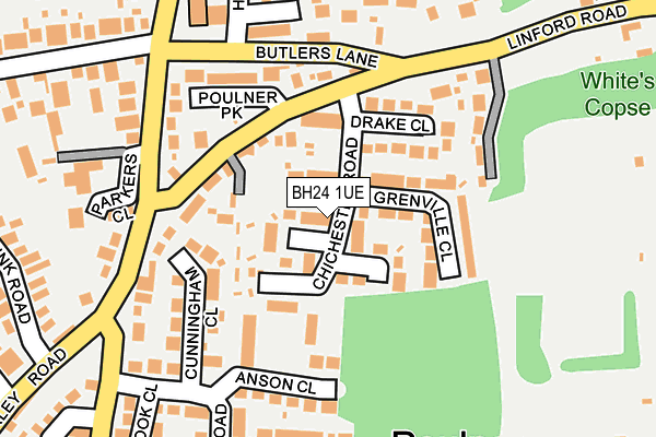 BH24 1UE map - OS OpenMap – Local (Ordnance Survey) BH24 1UE map - OS OpenMap – Local (Ordnance Survey)