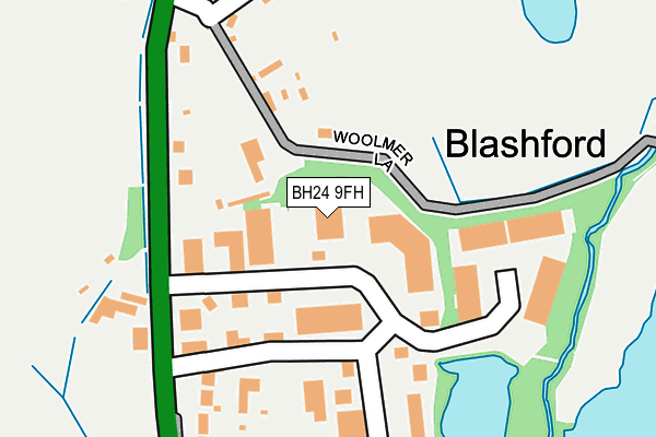 BH24 9FH map - OS OpenMap – Local (Ordnance Survey) BH24 9FH map - OS OpenMap – Local (Ordnance Survey)