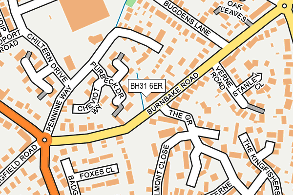 BH31 6ER map - OS OpenMap – Local (Ordnance Survey) BH31 6ER map - OS OpenMap – Local (Ordnance Survey)