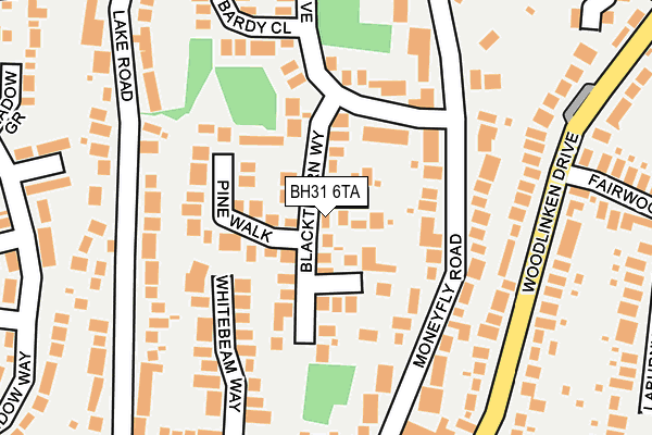 BH31 6TA map - OS OpenMap – Local (Ordnance Survey) BH31 6TA map - OS OpenMap – Local (Ordnance Survey)