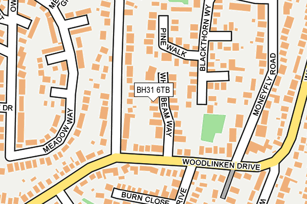 BH31 6TB map - OS OpenMap – Local (Ordnance Survey) BH31 6TB map - OS OpenMap – Local (Ordnance Survey)