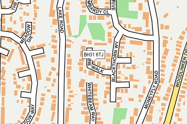 BH31 6TJ map - OS OpenMap – Local (Ordnance Survey) BH31 6TJ map - OS OpenMap – Local (Ordnance Survey)