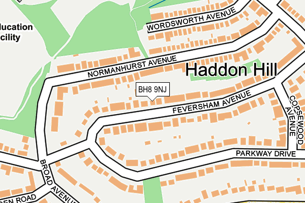 BH8 9NJ map - OS OpenMap – Local (Ordnance Survey) BH8 9NJ map - OS OpenMap – Local (Ordnance Survey)