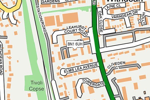 BN1 6UH map - OS OpenMap – Local (Ordnance Survey) BN1 6UH map - OS OpenMap – Local (Ordnance Survey)