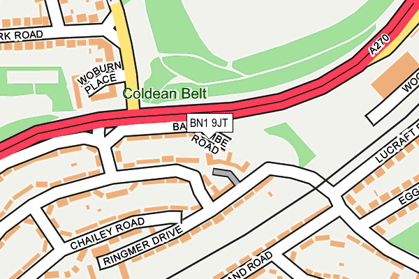 BN1 9JT map - OS OpenMap – Local (Ordnance Survey) BN1 9JT map - OS OpenMap – Local (Ordnance Survey)