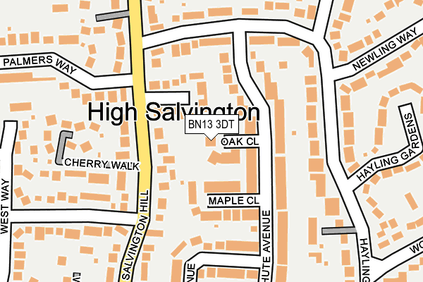 BN13 3DT map - OS OpenMap – Local (Ordnance Survey) BN13 3DT map - OS OpenMap – Local (Ordnance Survey)